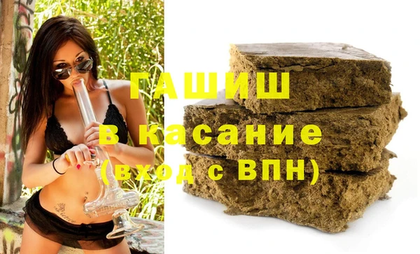индика Горно-Алтайск