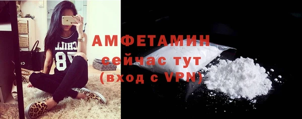 молекула духа Горняк