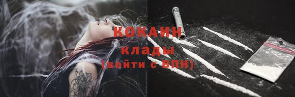молекула духа Горняк