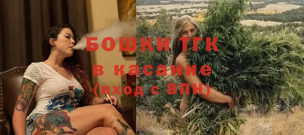 молекула духа Горняк