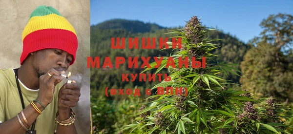 индика Горно-Алтайск
