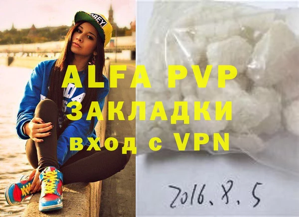 индика Горно-Алтайск