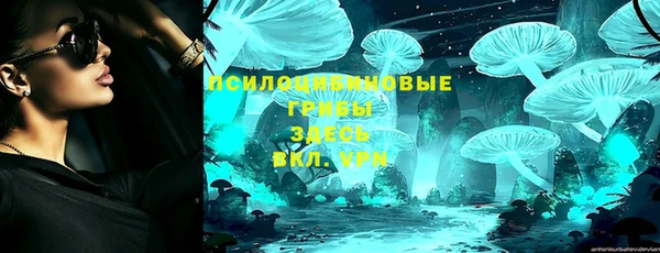 индика Горно-Алтайск