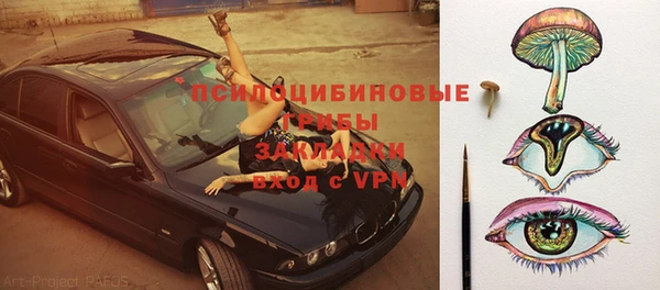 круглые Гусев